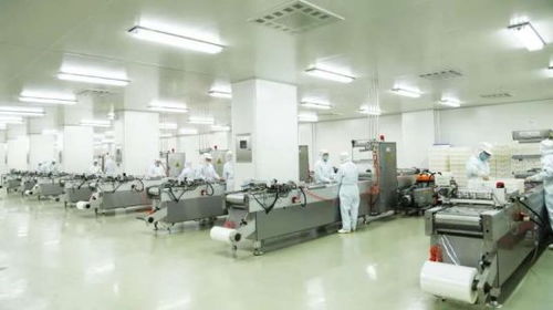 探訪煌上煌醬鹵博物館 美食工廠變身文化旅游景區(qū)，打造獨(dú)特文旅新地標(biāo)