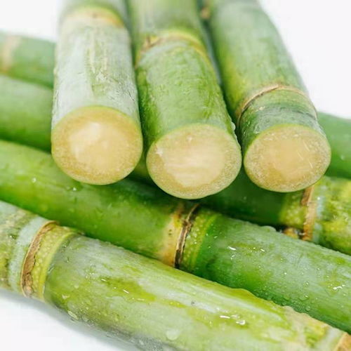 桂林山水甲天下，廣西綠皮甘蔗鮮天下 當季整箱批發，孕婦食之安全
